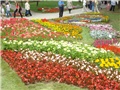 Flora Art Zagreb